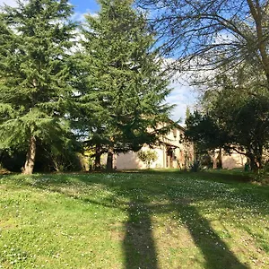 Bethsaid Fauglia